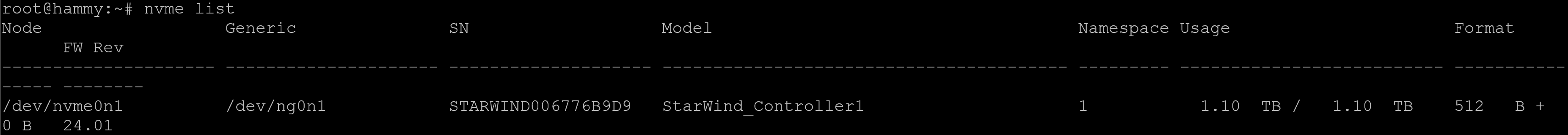 nvme_list.png